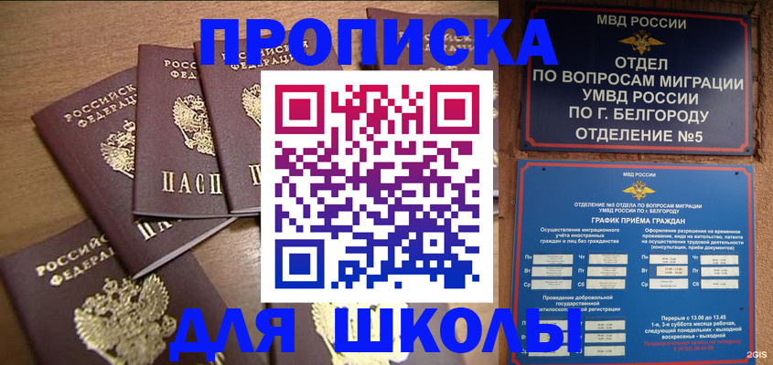 прописка гарантия в Лесном